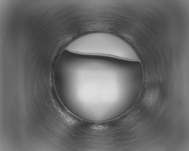 X0000057040453200509090821