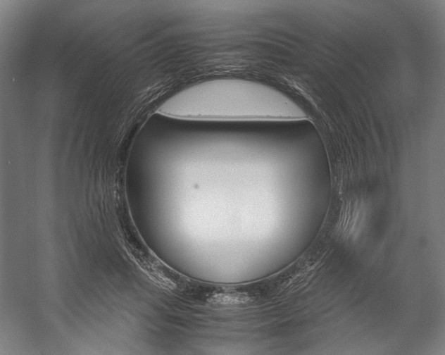 X0000057040455200509090821