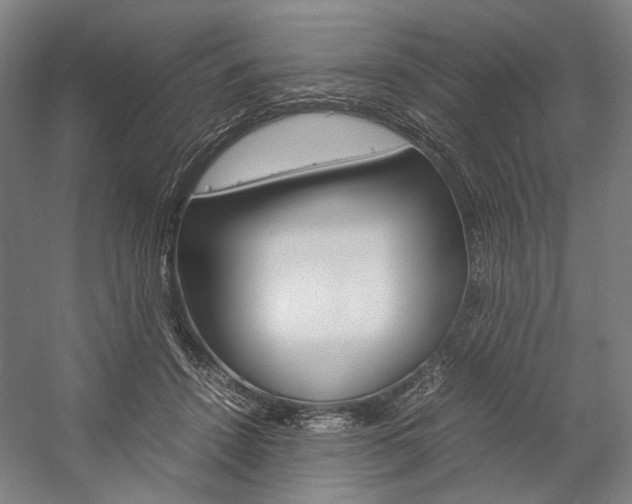 X0000057040456200509090821