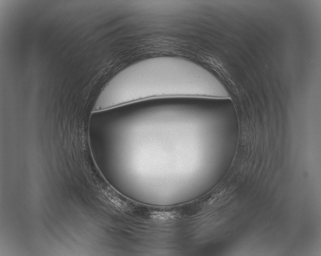 X0000057040457200509090821