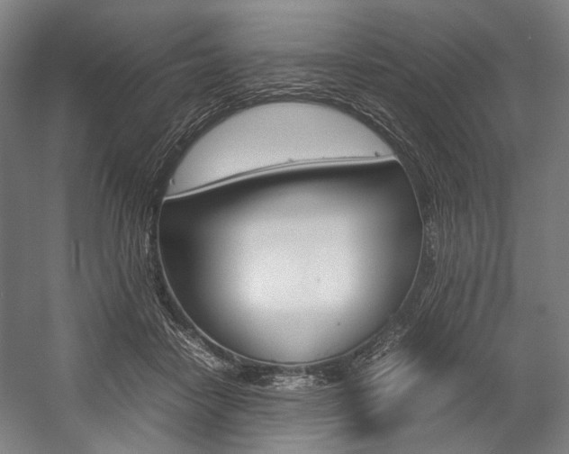 X0000057040458200509090821