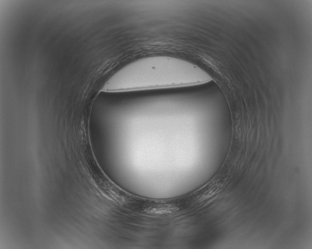 X0000057040459200509090821