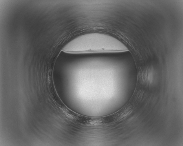 X0000057040462200509090821