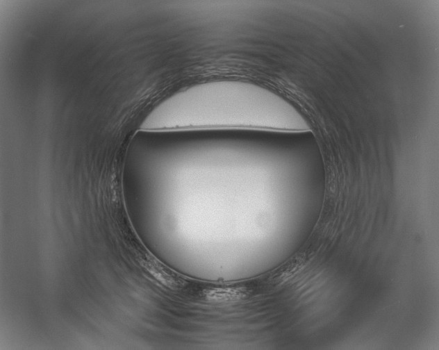 X0000057040465200509090821