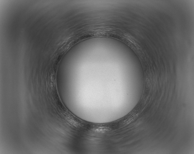 X0000057040467200509090821