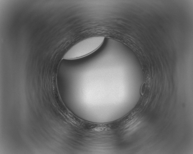 X0000057040468200509090821
