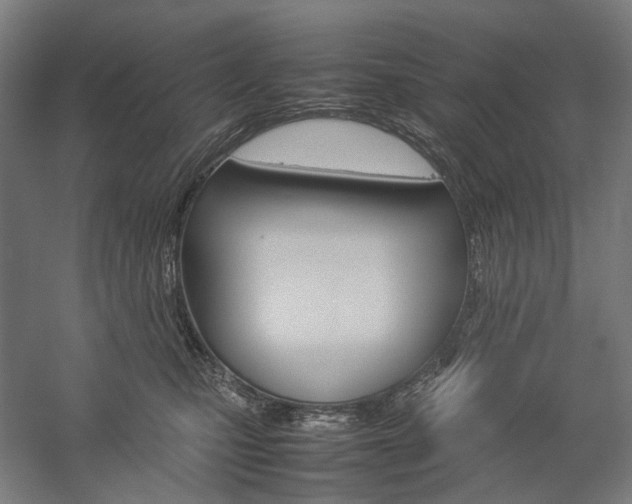 X0000057040471200509090821