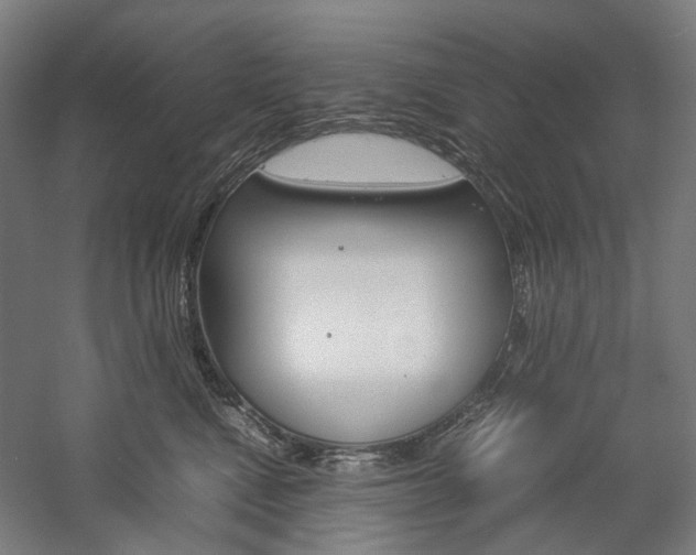 X0000057040472200509090821