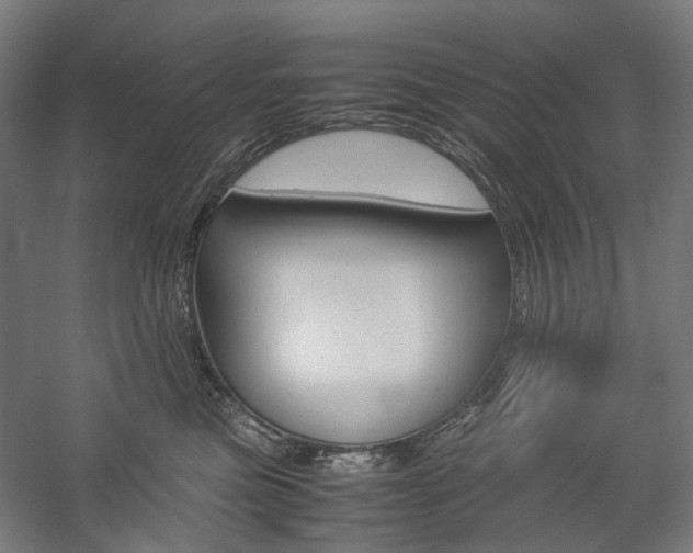 X0000057040473200509090821