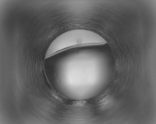 X0000057040474200509090821
