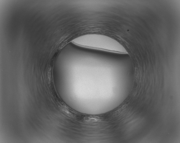 X0000057040475200509090821