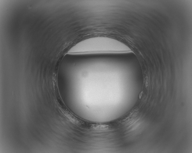 X0000057040476200509090821