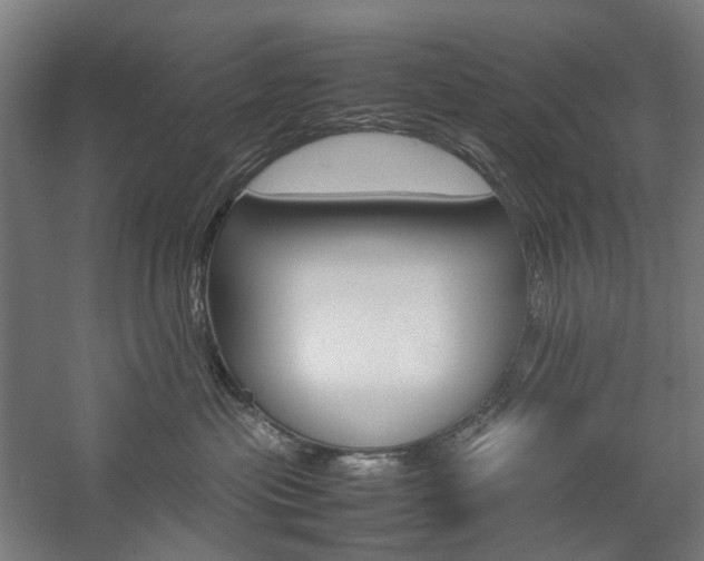 X0000057040477200509090821