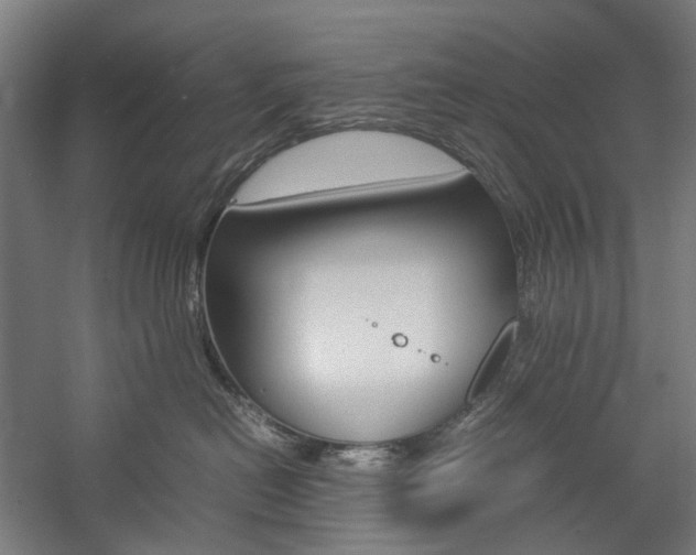 X0000057040478200509090821