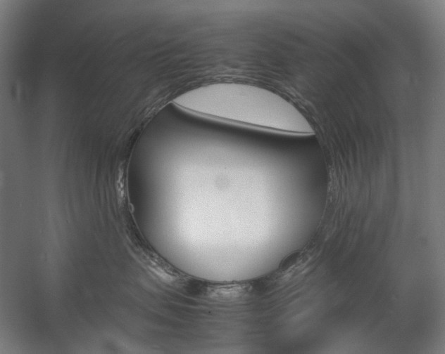 X0000057040479200509090821