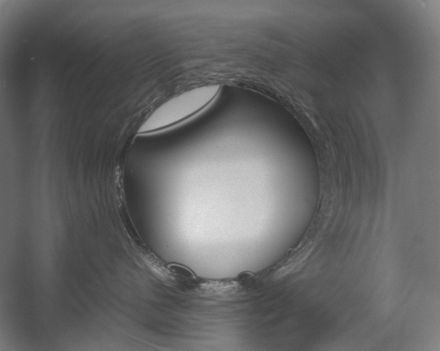 X0000057040480200509090821