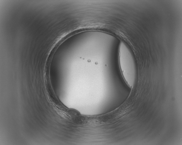 X0000057040483200509090820