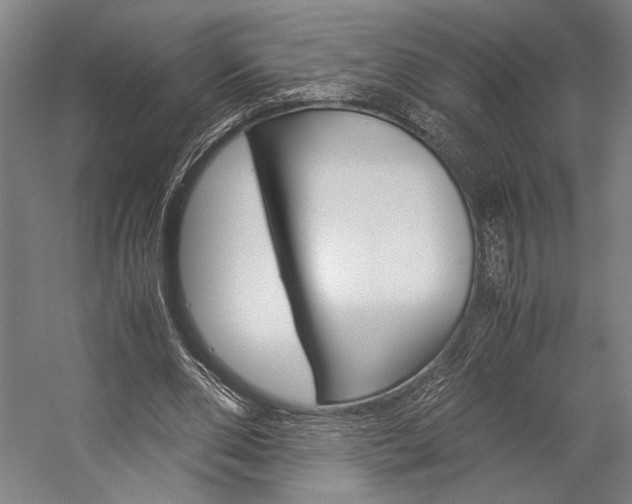 X0000057040486200509090820
