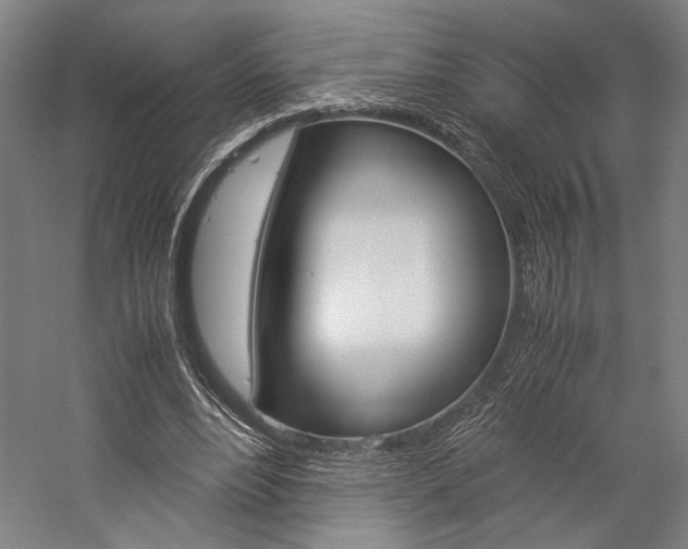X0000057040488200509090820