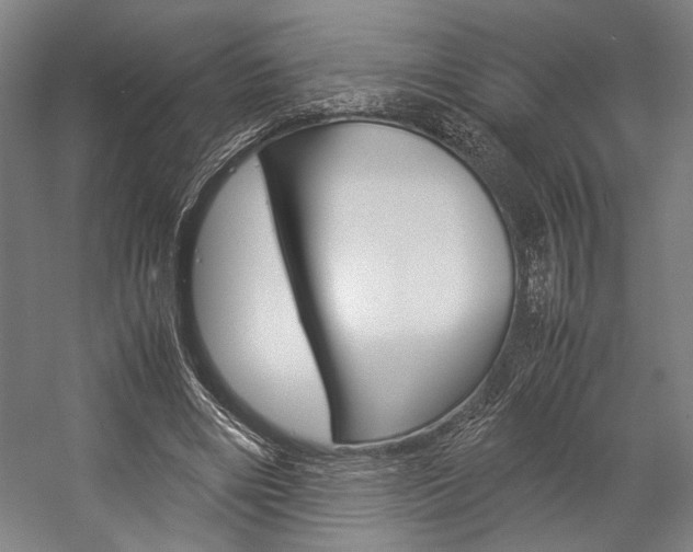 X0000057040490200509090820