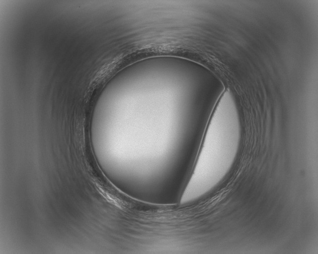 X0000057040493200509090820