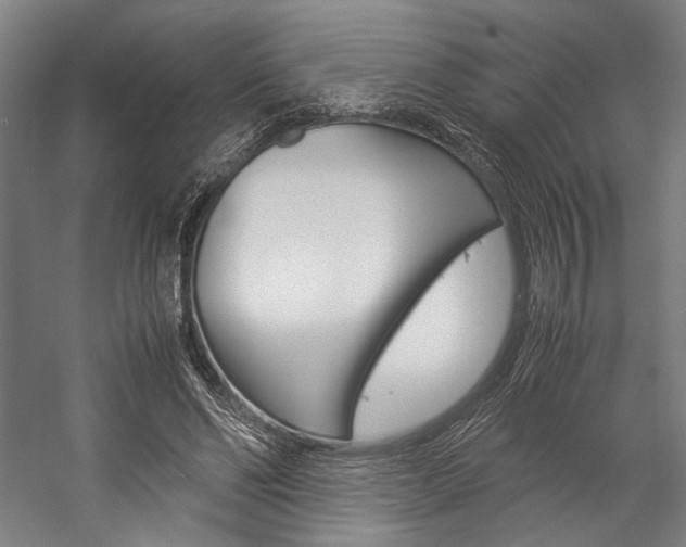 X0000057040494200509090820