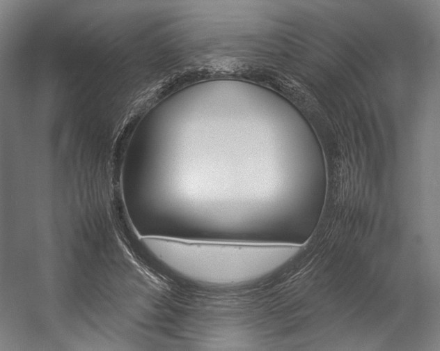 X0000057040496200509090820