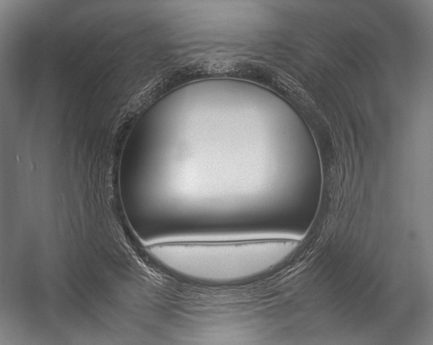 X0000057040497200509090820