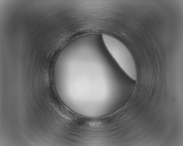 X0000057040500200509090820
