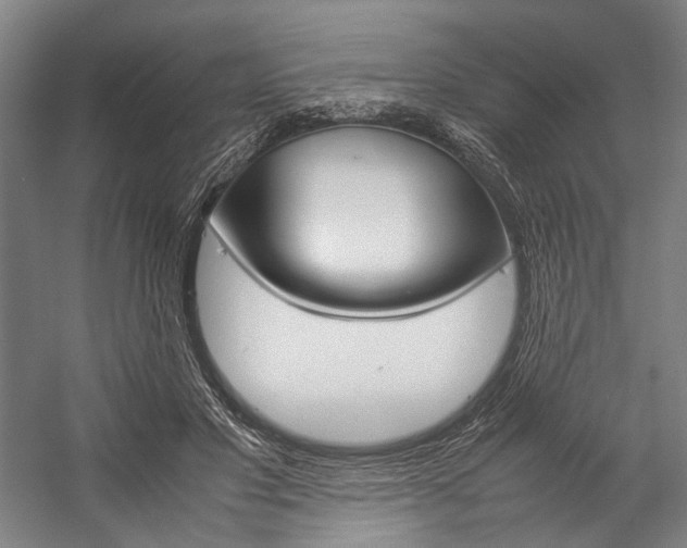 X0000057040501200509090820
