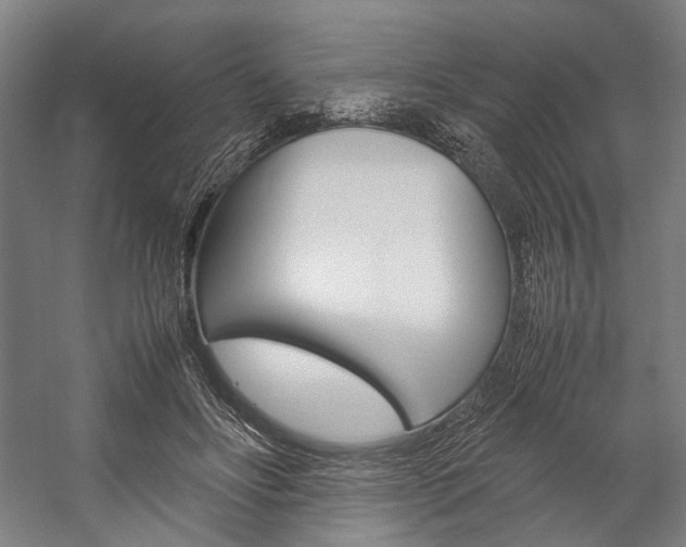 X0000057040502200509090820
