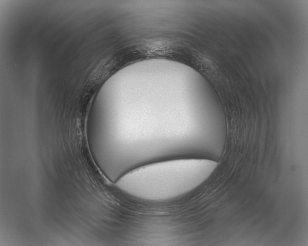 X0000057040506200509090820