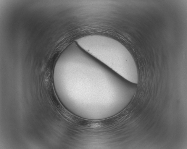 X0000057040507200509090820