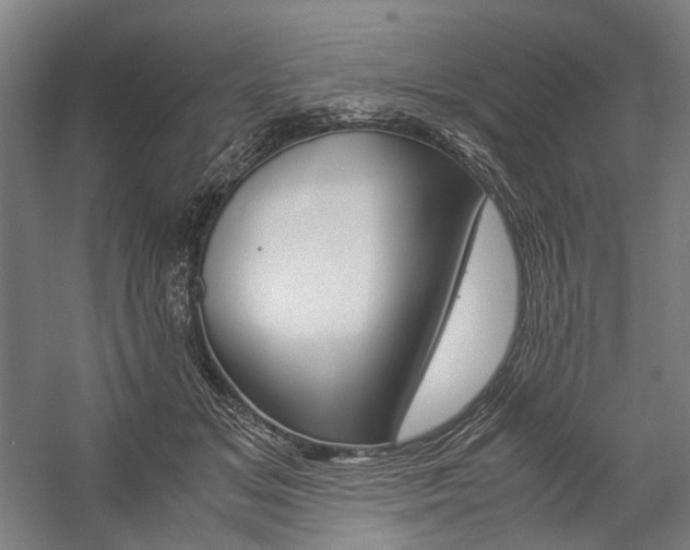 X0000057040509200509090820