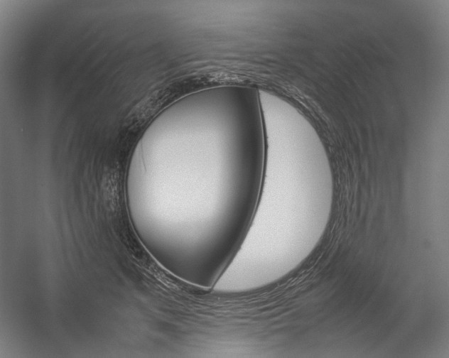 X0000057040513200509090820