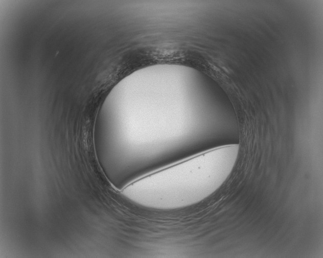 X0000057040515200509090820
