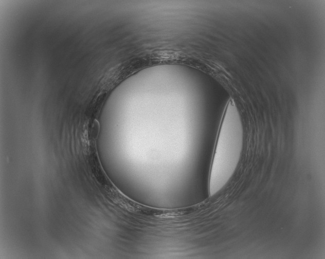 X0000057040516200509090820
