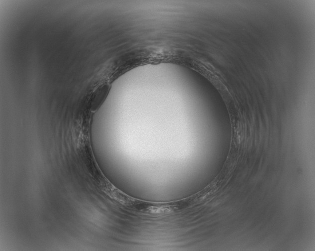 X0000057040520200509090819