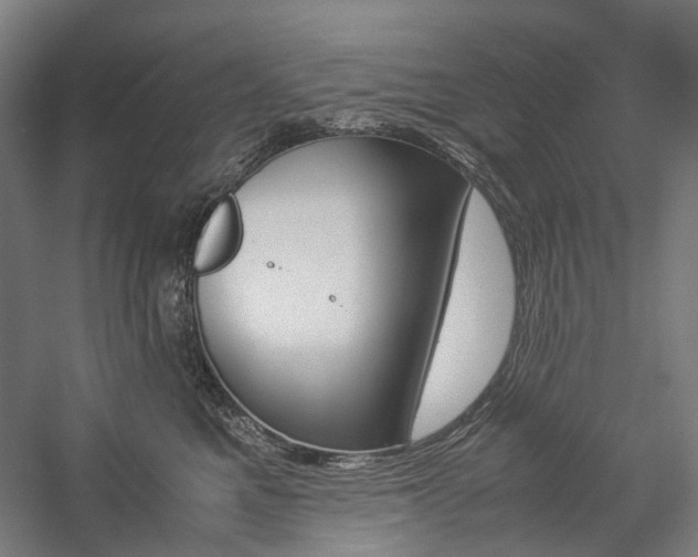 X0000057040521200509090819