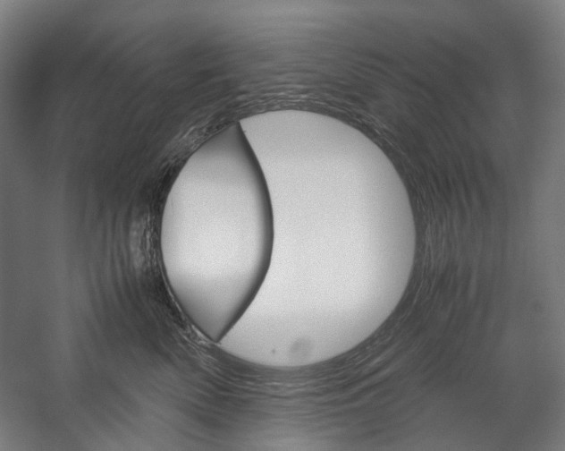 X0000057040522200509090819