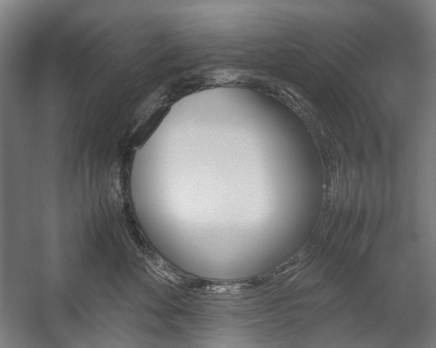 X0000057040524200509090819