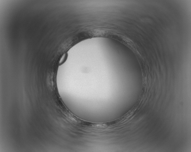 X0000057040525200509090819