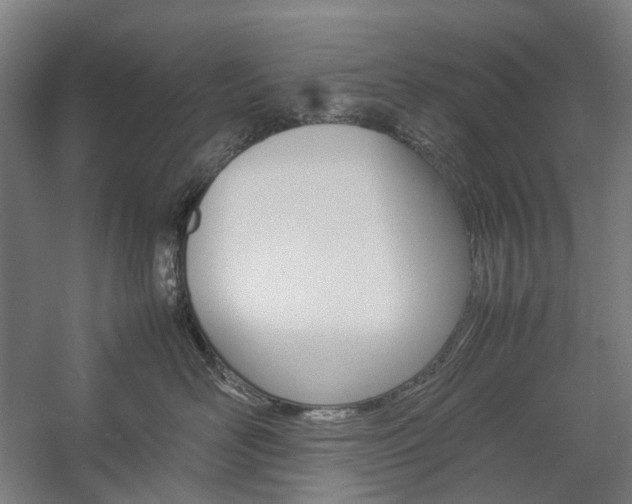 X0000057040526200509090819