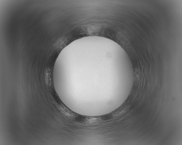 X0000057040527200509090819