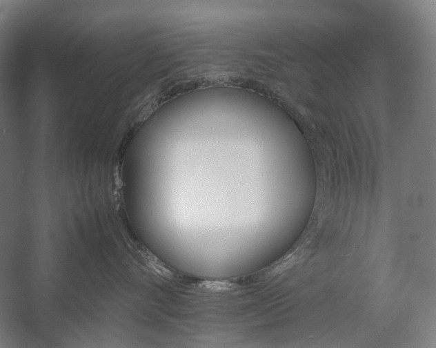 X0000057040528200509090819