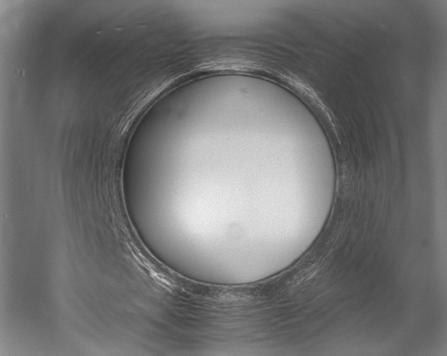 X0000057040529200509090819