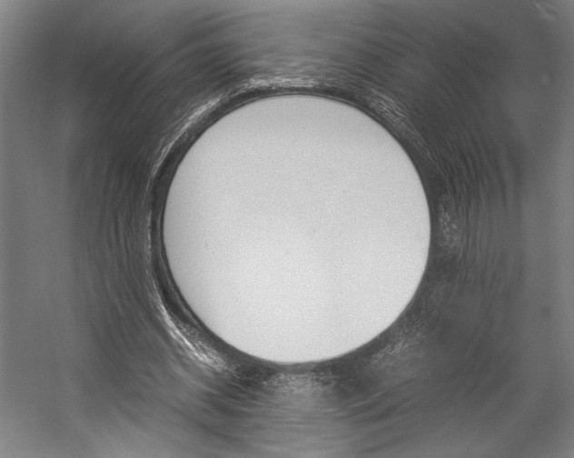X0000057040534200509090819