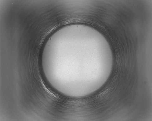 X0000057040538200509090819