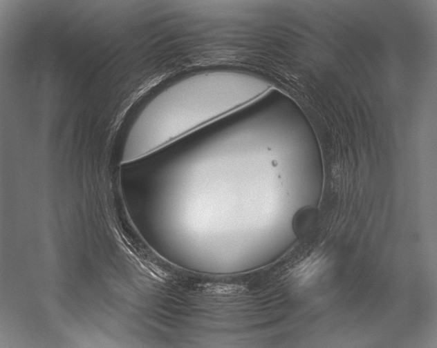 X0000057040539200509090819