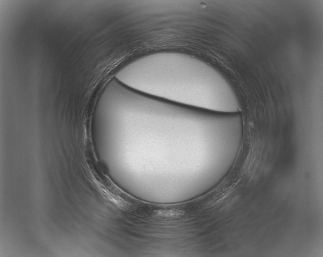 X0000057040541200509090819